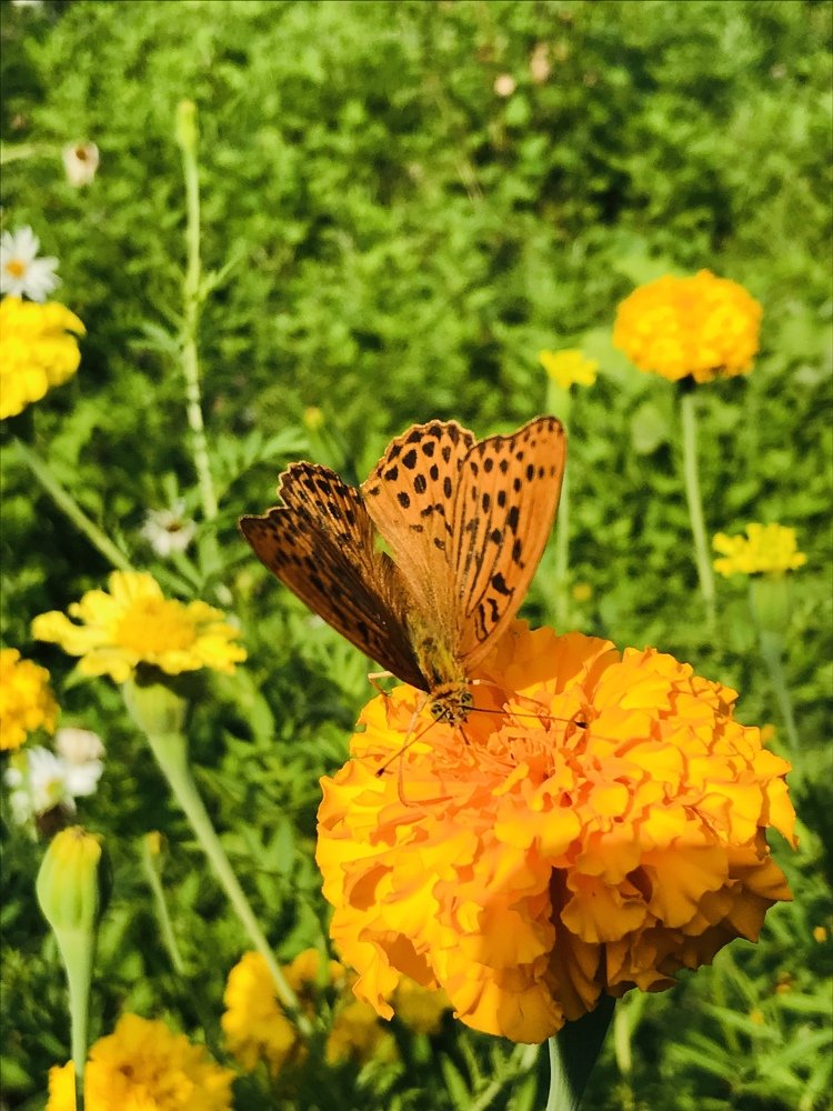 Photograph by Farida Bagirova