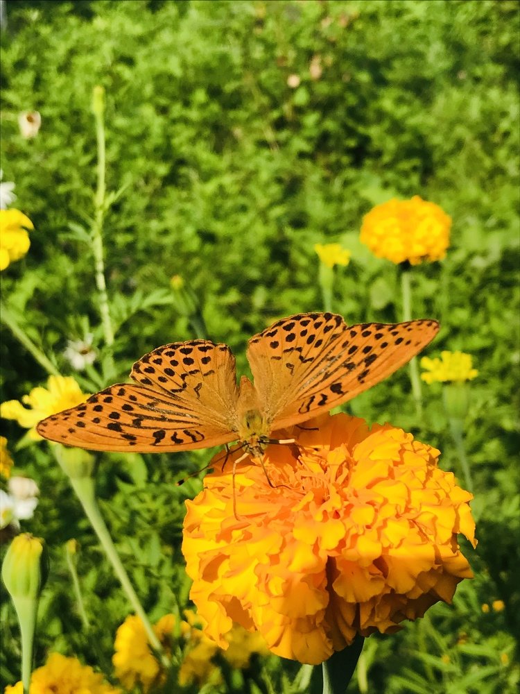 Photograph by Farida Bagirova