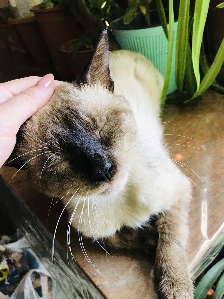 Photograph by Farida Bagirova