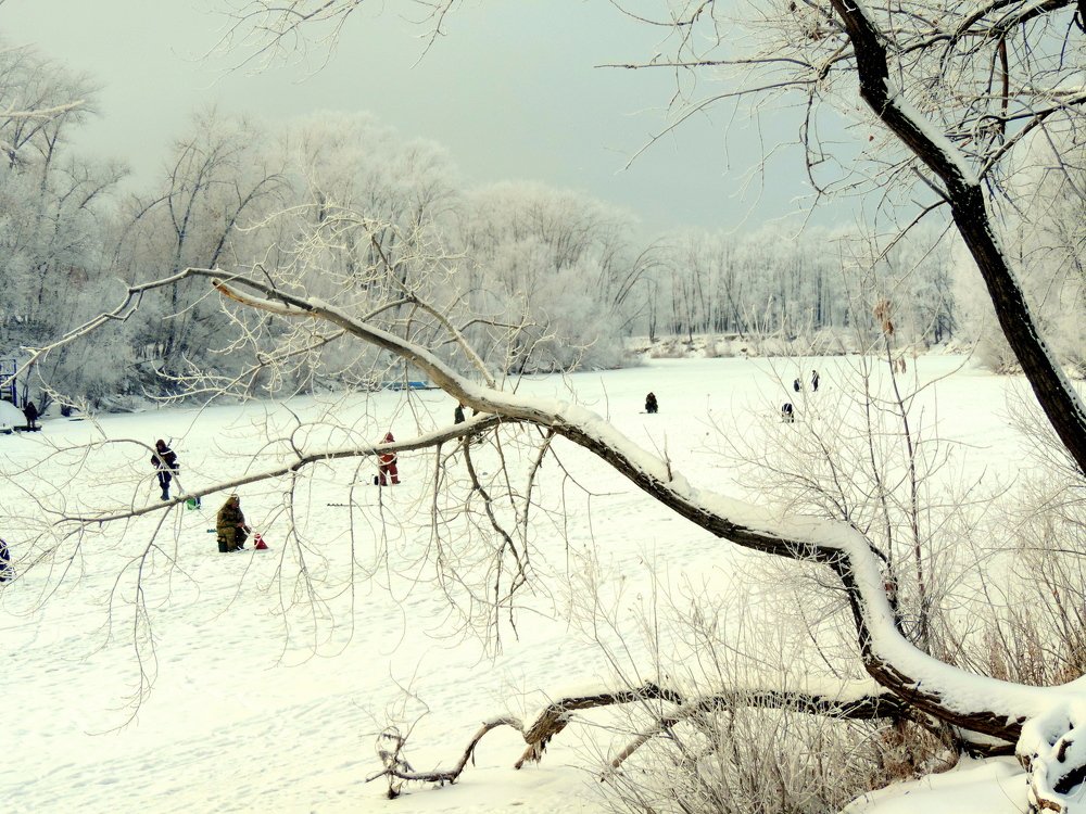 Зимняя рыбалка