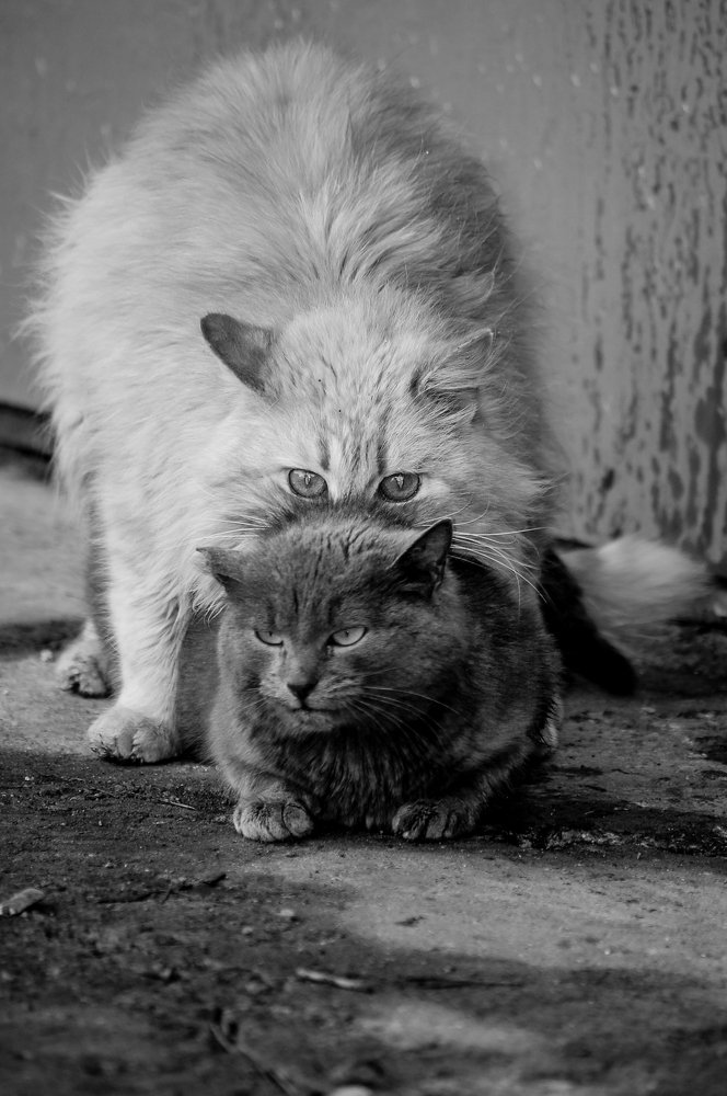 Photograph by Sergey Otkidach