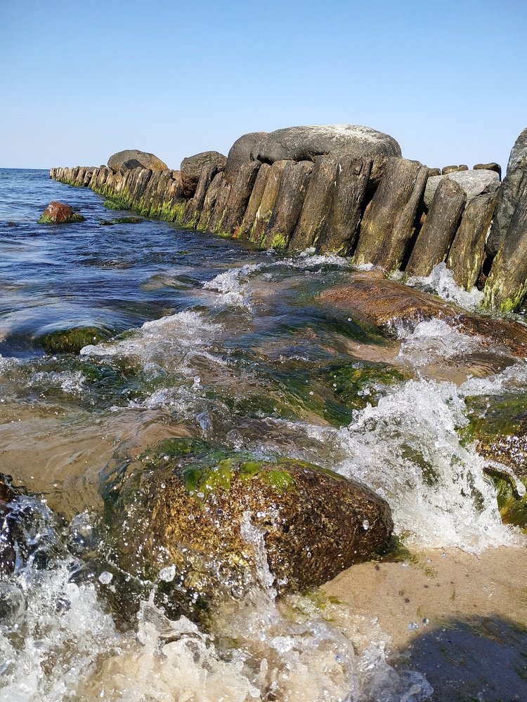 .Балтийский берег