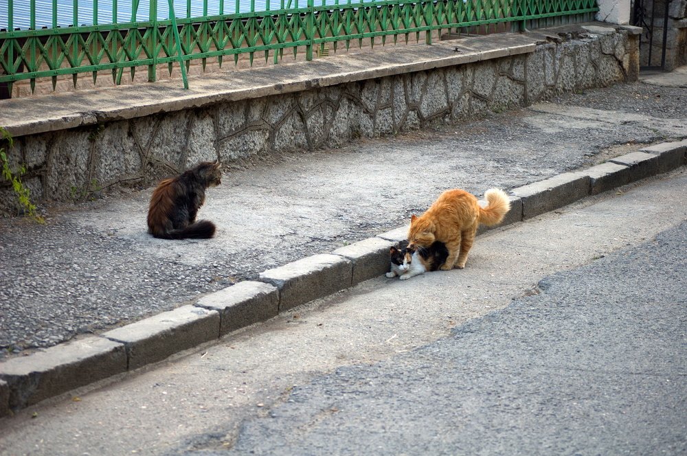 Photograph by Sergey Otkidach