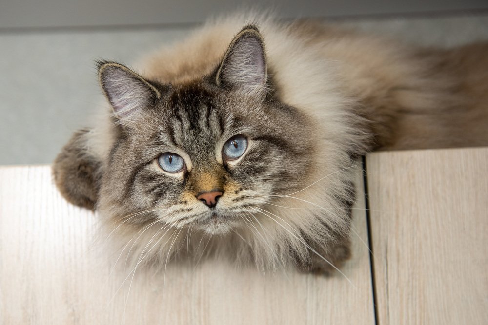 Photograph by Андрей Лукашевич