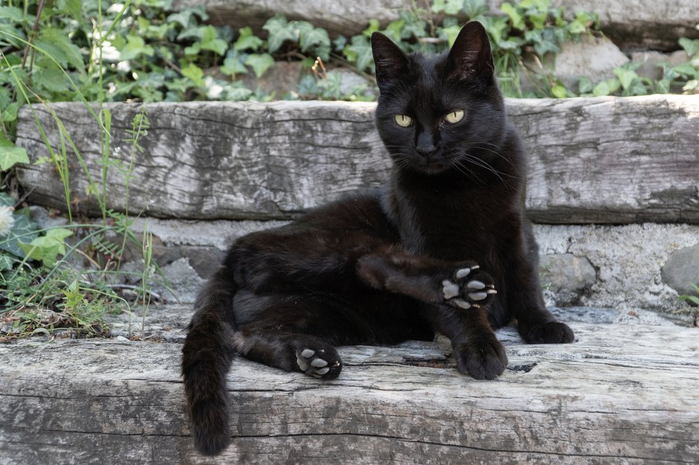 Photograph by Nastja Asipkina