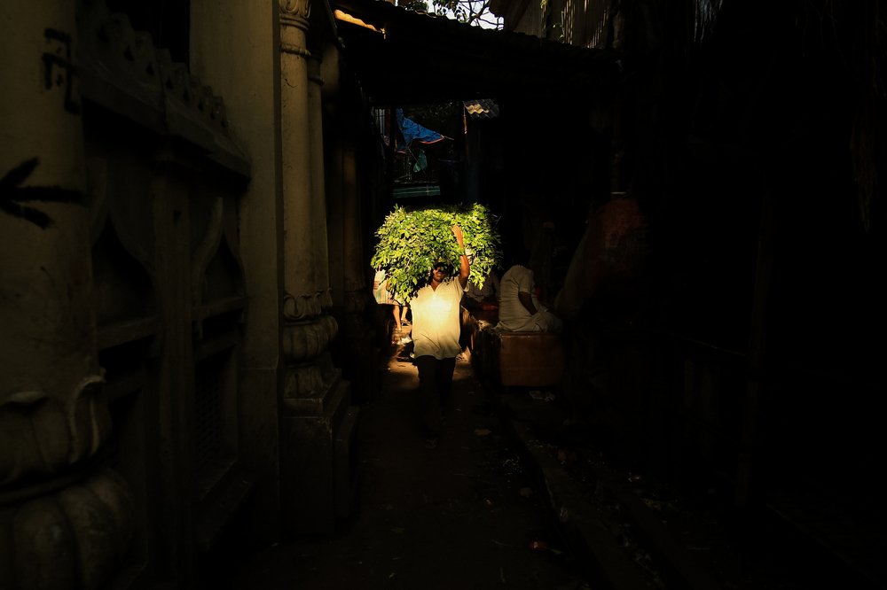 Show me the Way