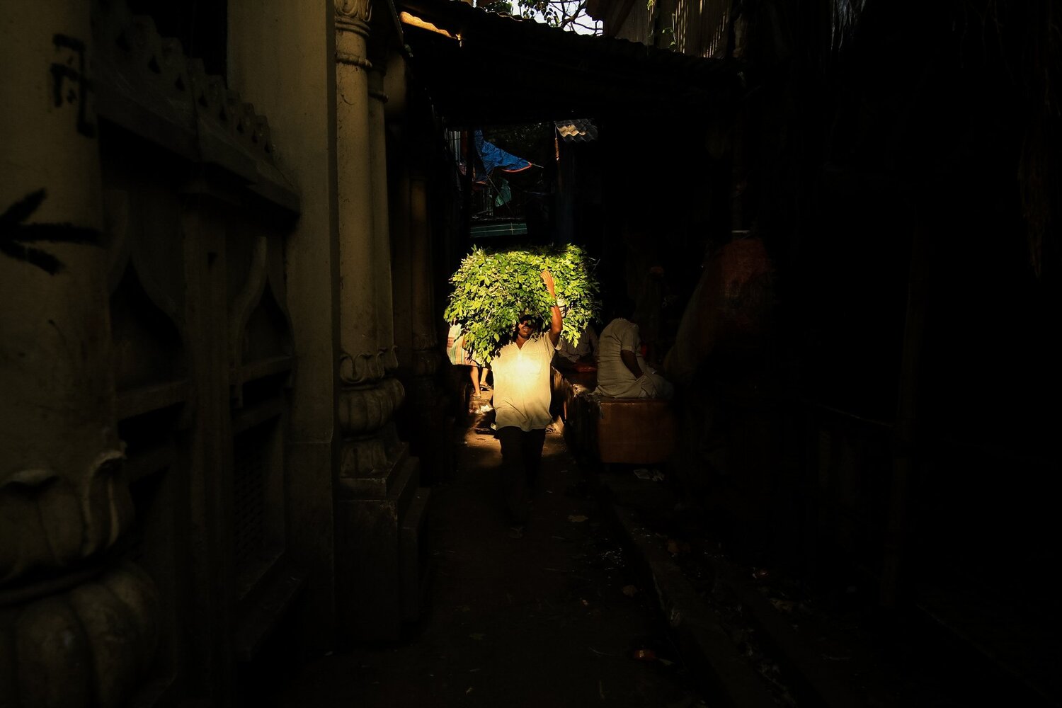Show me the Way