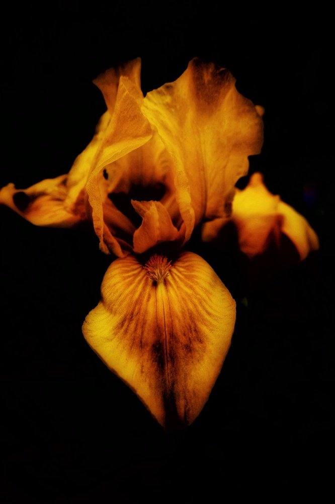 Photograph by Наталья