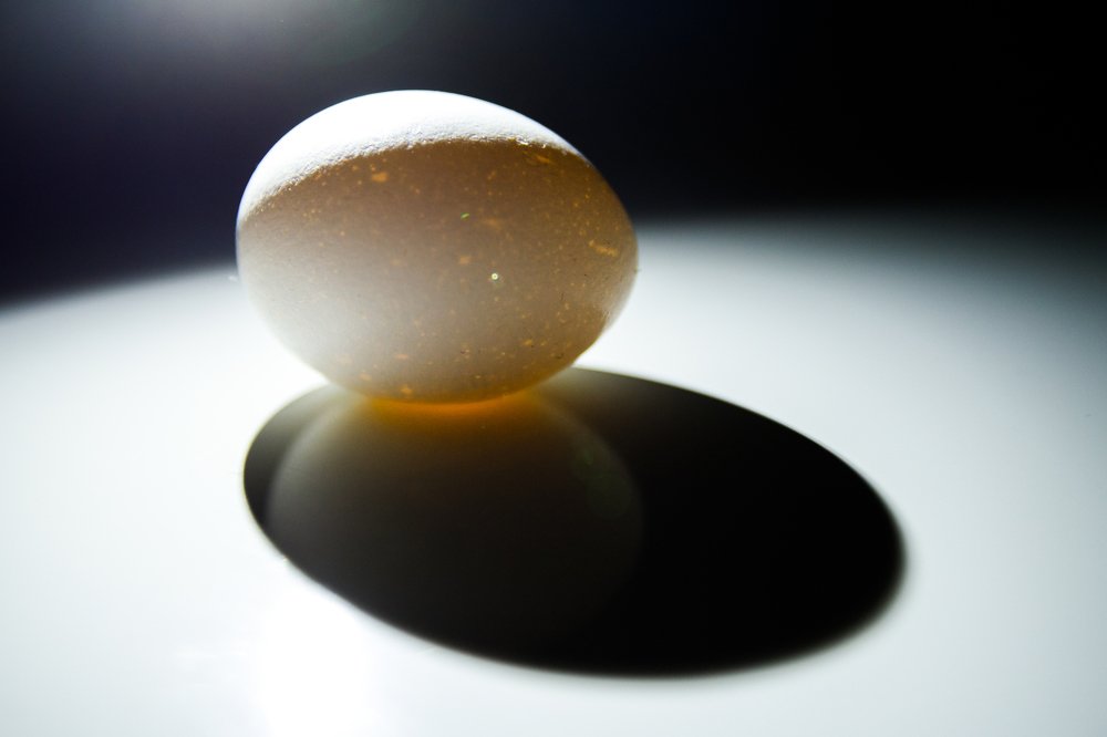 Фотография автора Гудкова Светлана