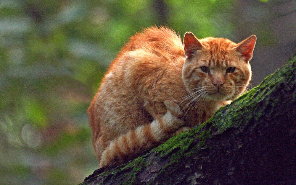Photograph by Вадим Валентинов