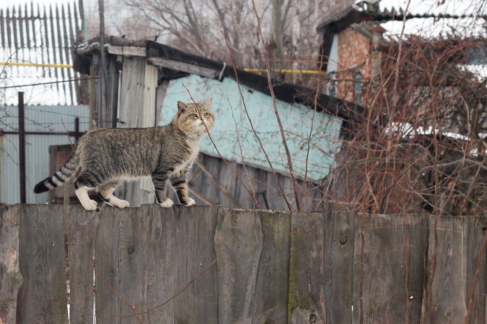 Photograph by Дмитрий Чудинин