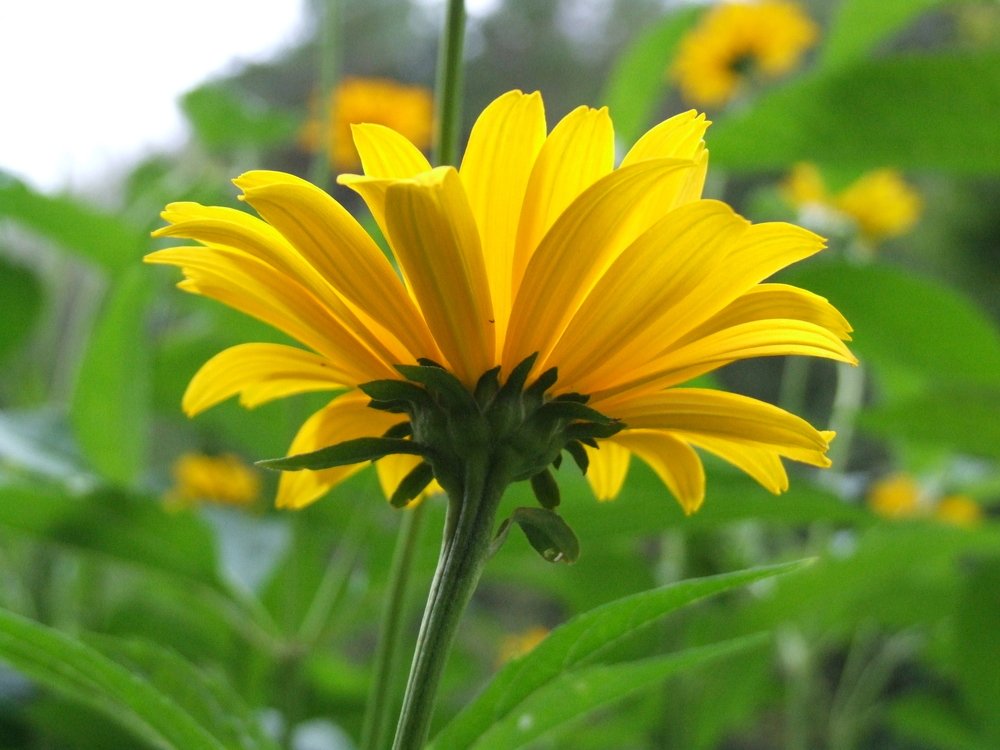 Photograph by Josée Beauchemin