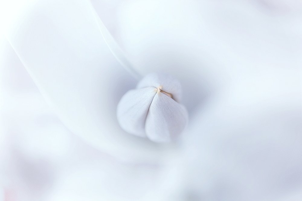 Photograph by Teodora Sarbinska