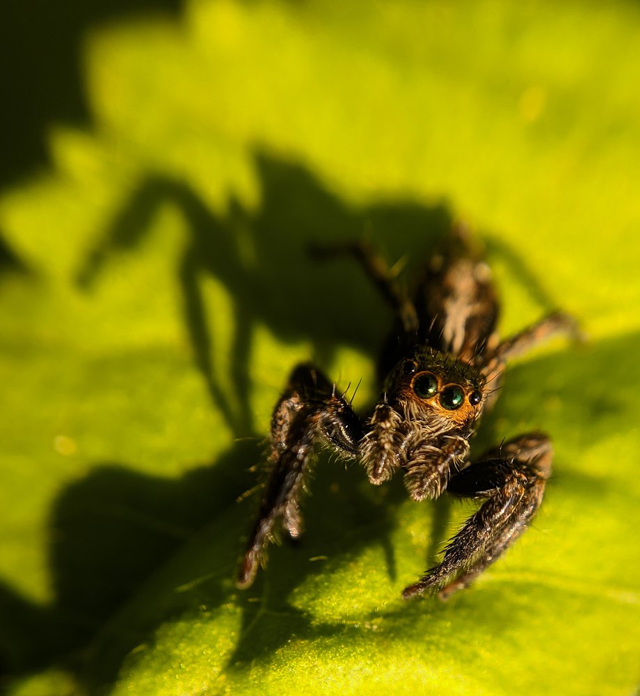 Photograph by Abhishek Manna