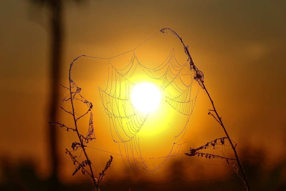 Photograph by Sergey Uskov