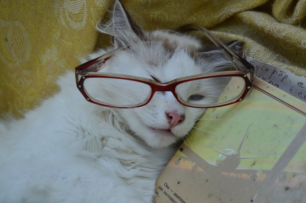 Photograph by Сергей Клепка