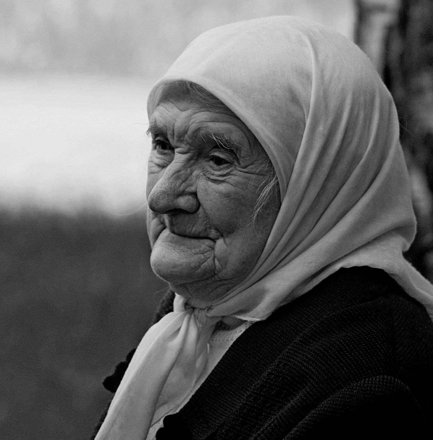 Photo #3527768