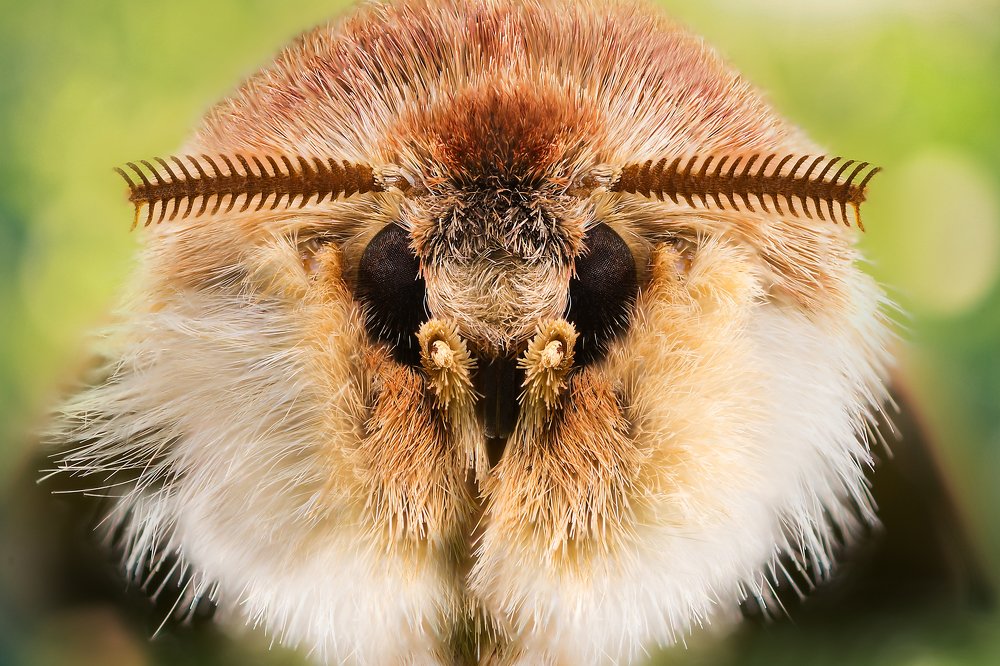 Photograph by Алексей Чечель