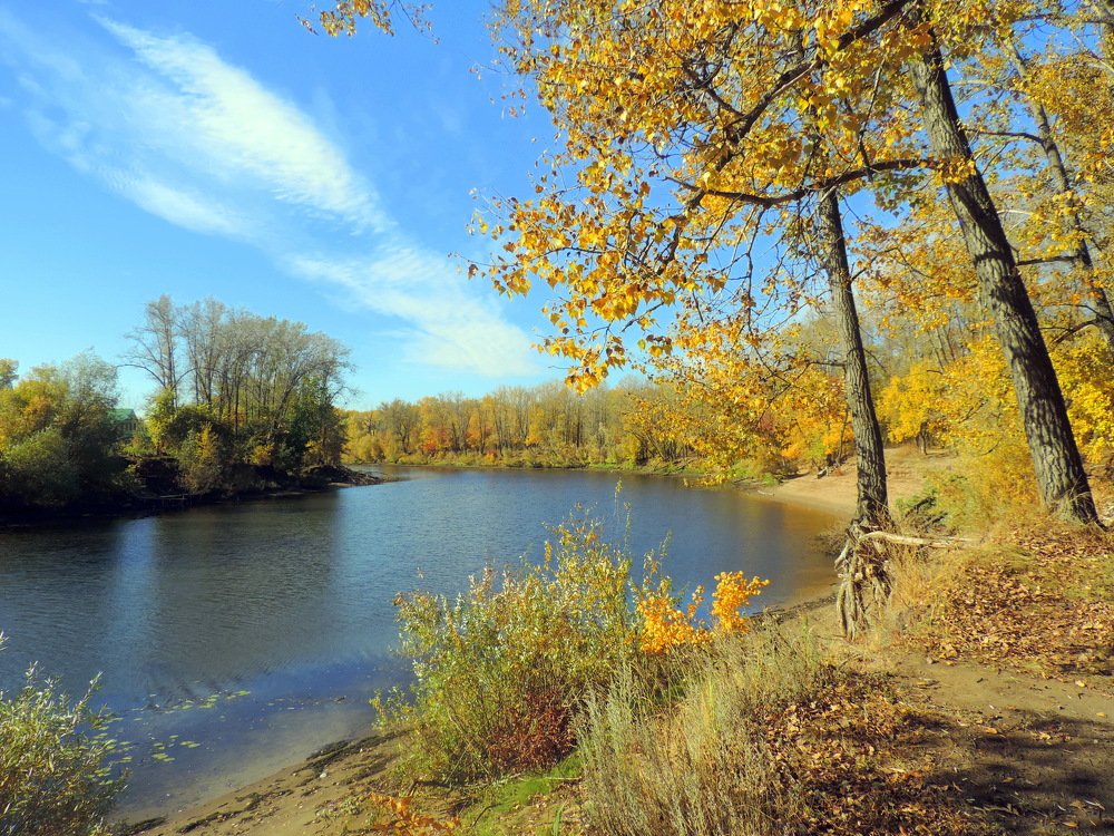 Просто осень золотая