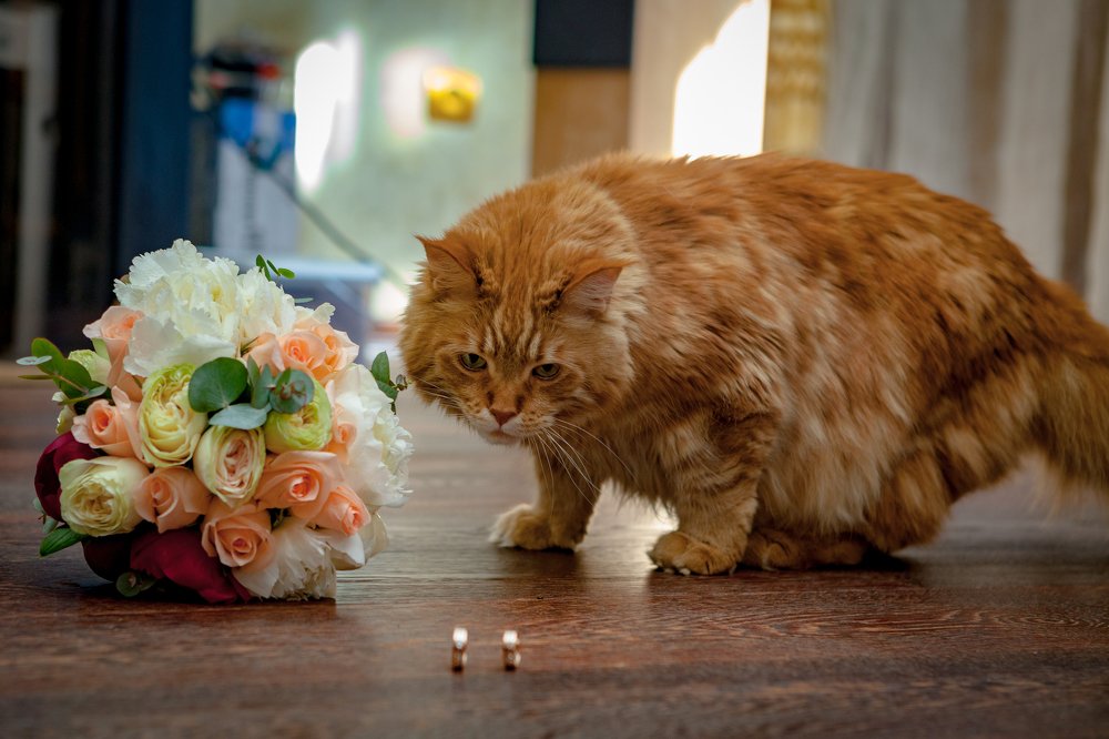 Photograph by Владимир Журавлев