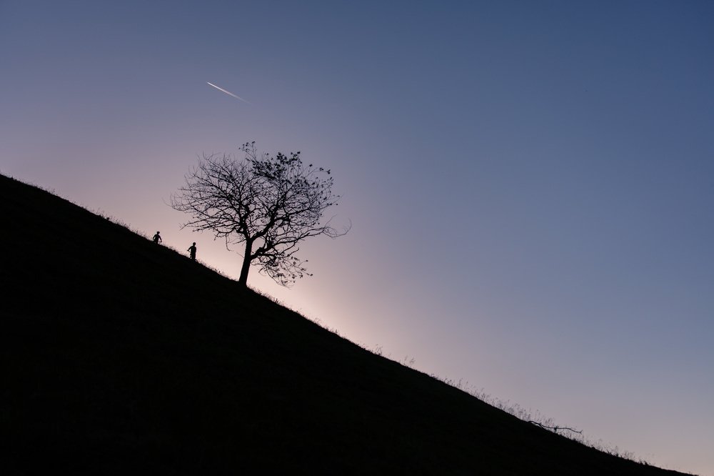 Photograph by Marusyk Oleksii