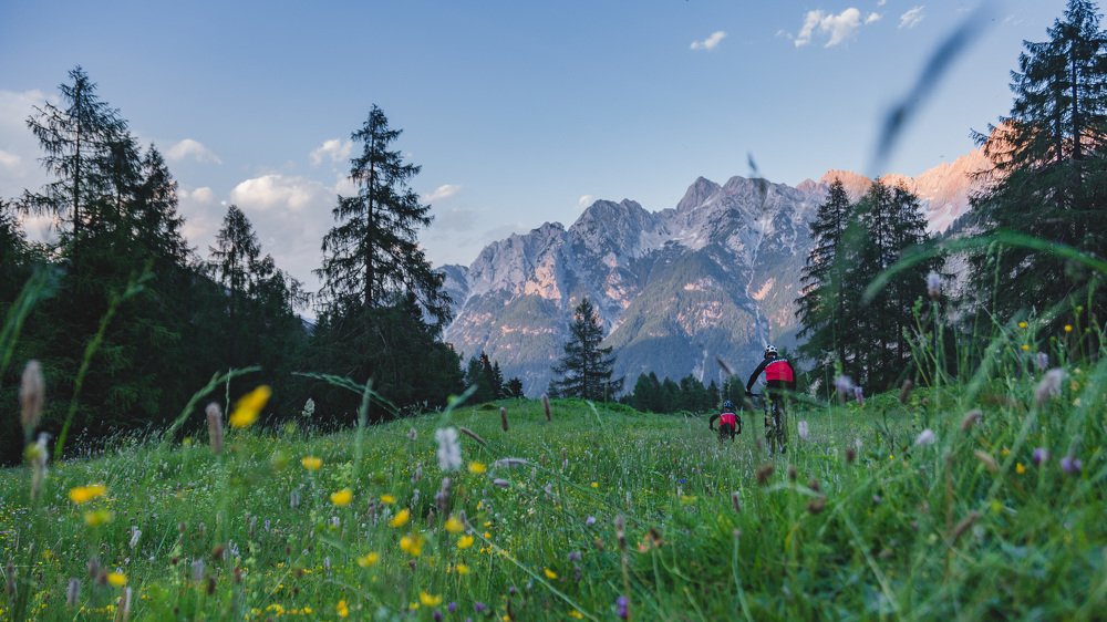 Photograph by Marusyk Oleksii