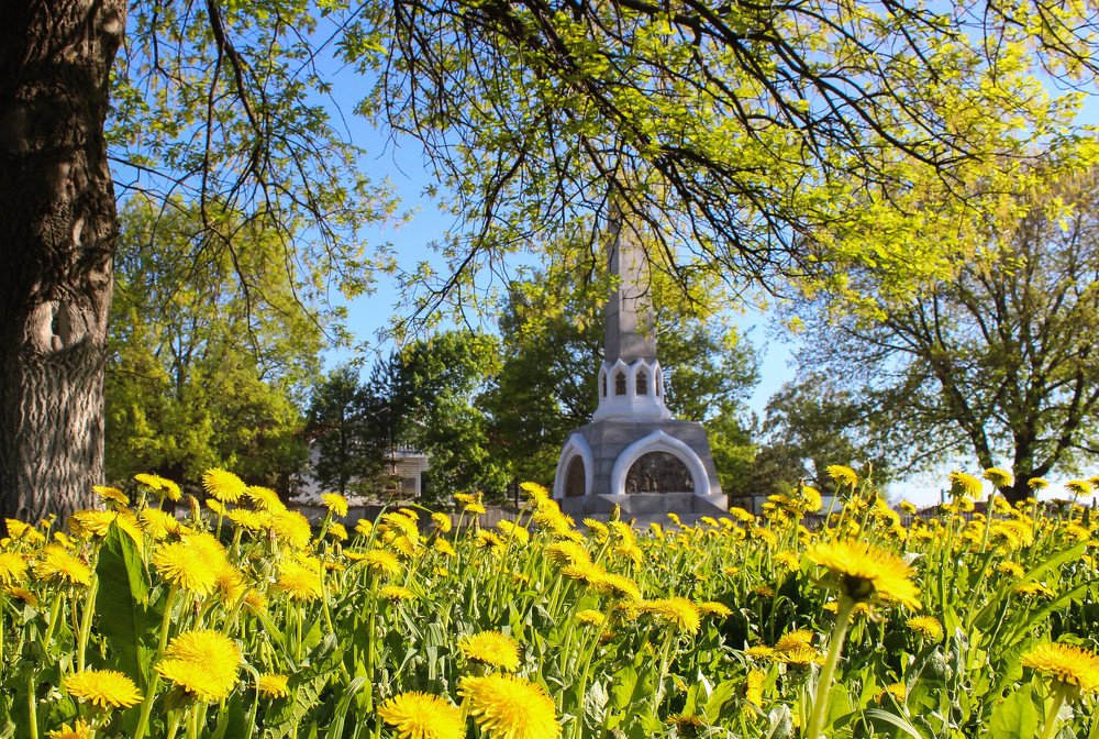 Photograph by Александр Афанасьев