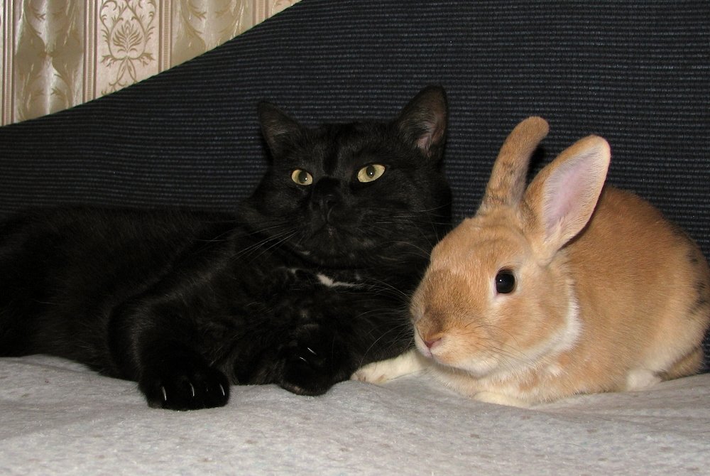 Photograph by Ирина Мамичева