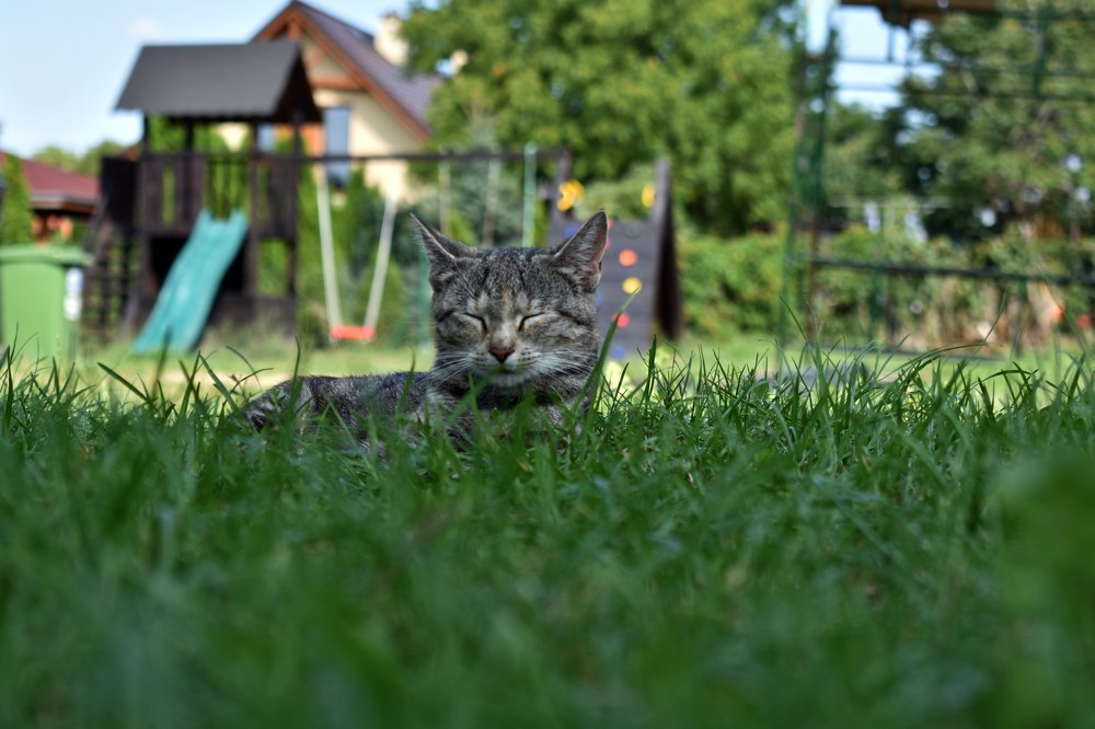 Photograph by Janusz Osika