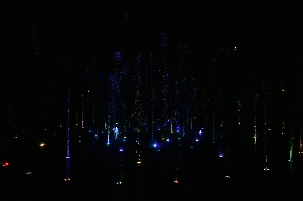 Photograph by Janusz Osika