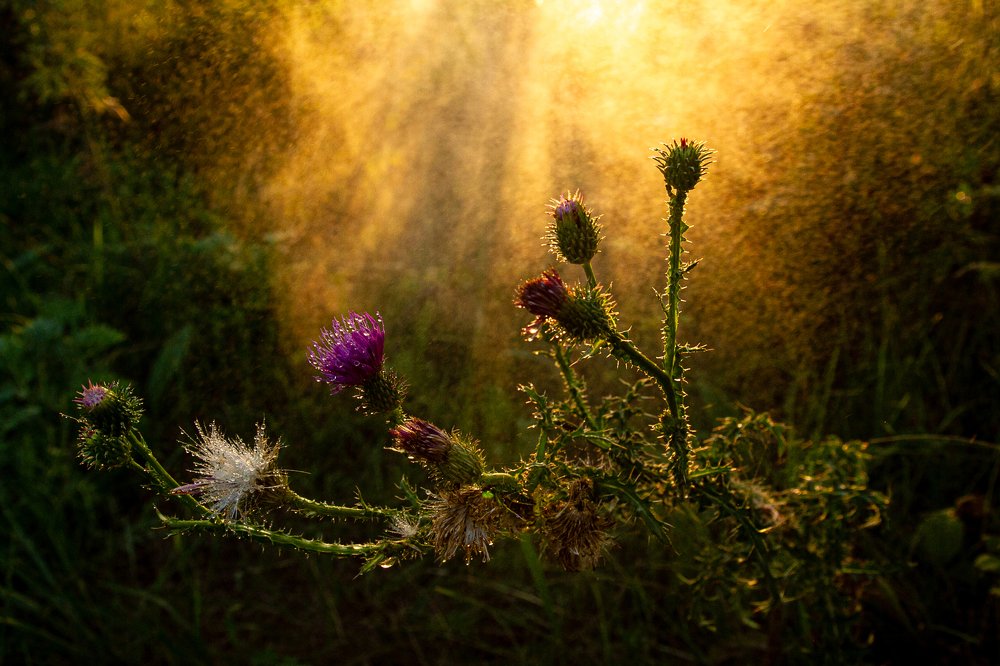 Photograph by Юрий