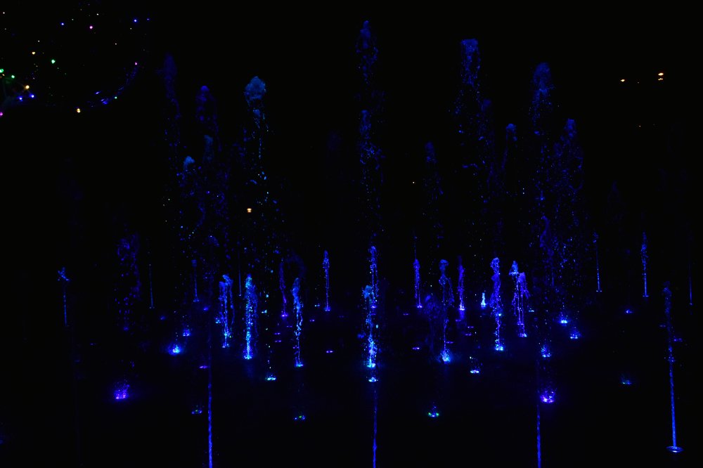 Photograph by Janusz Osika