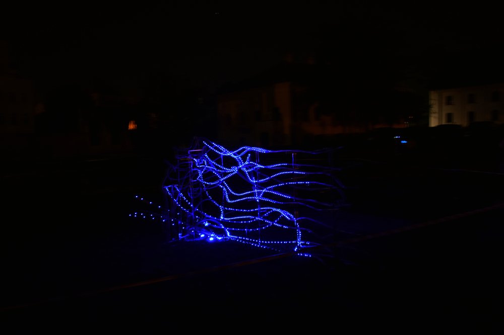 Photograph by Janusz Osika