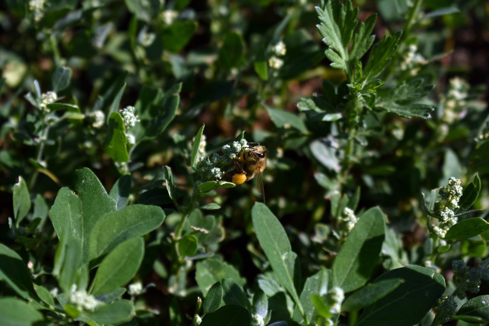 Photograph by Janusz Osika