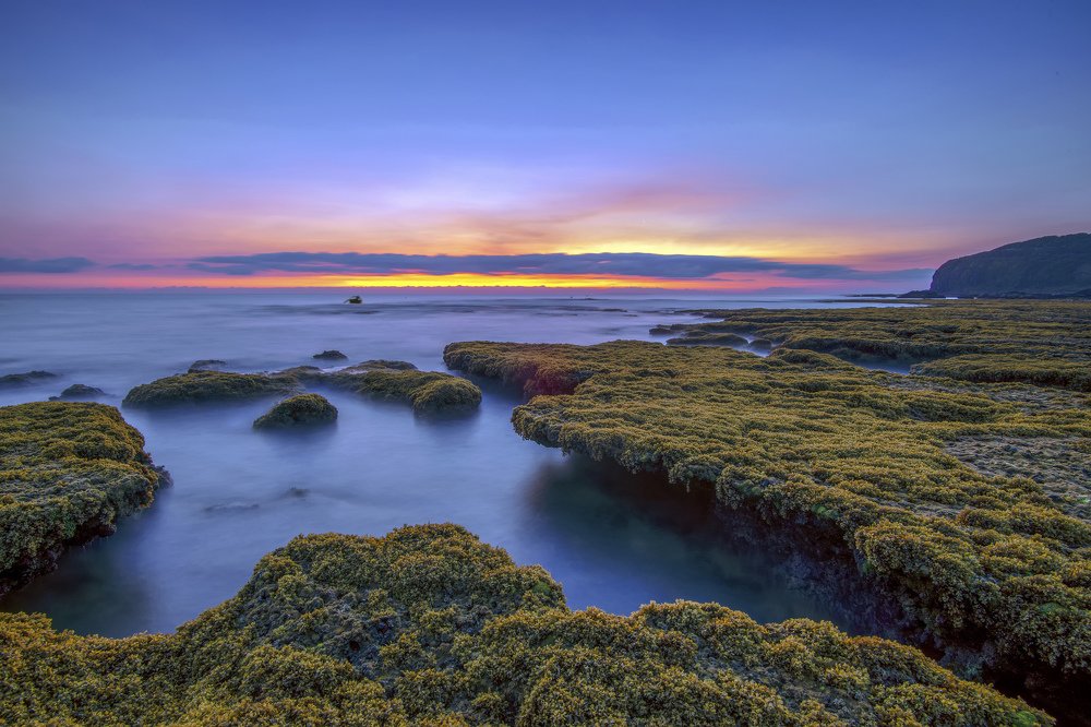 Photograph by Hong Tran