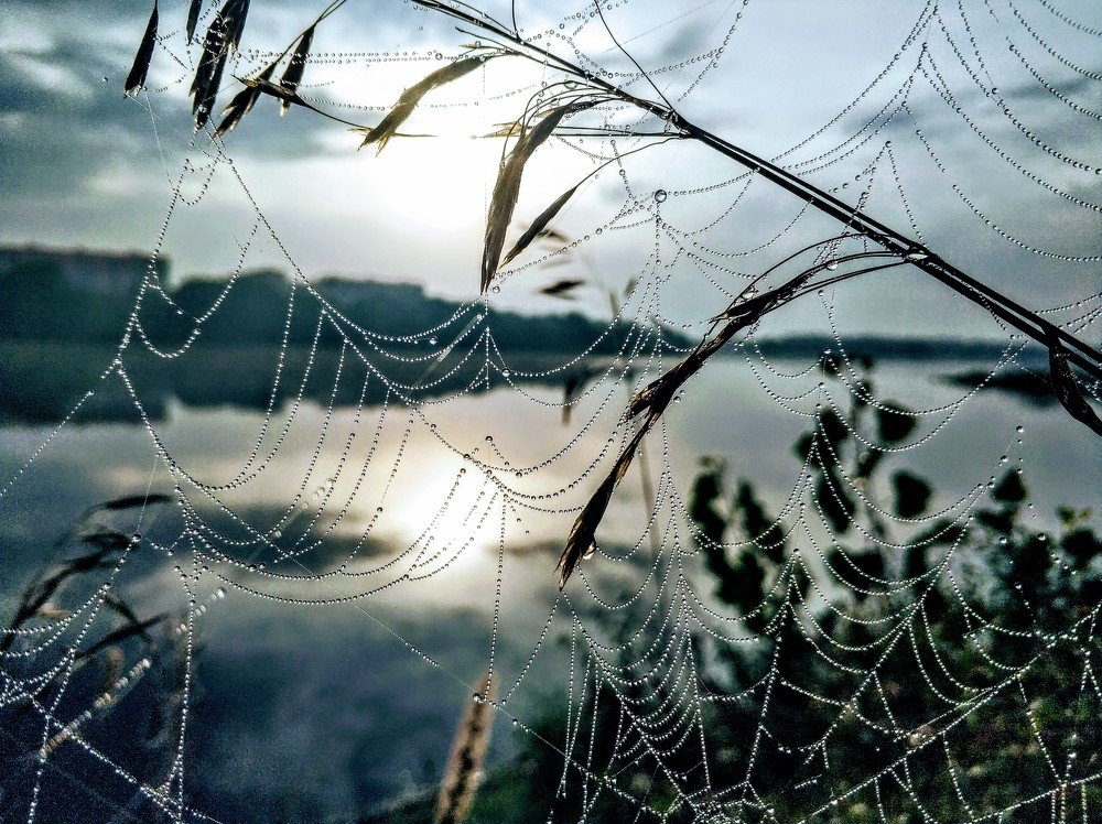 Photograph by 