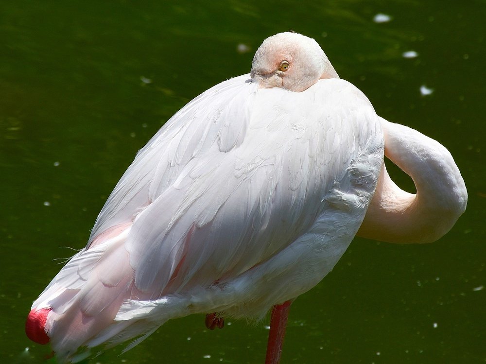 Photograph by seyyed mohammad andy