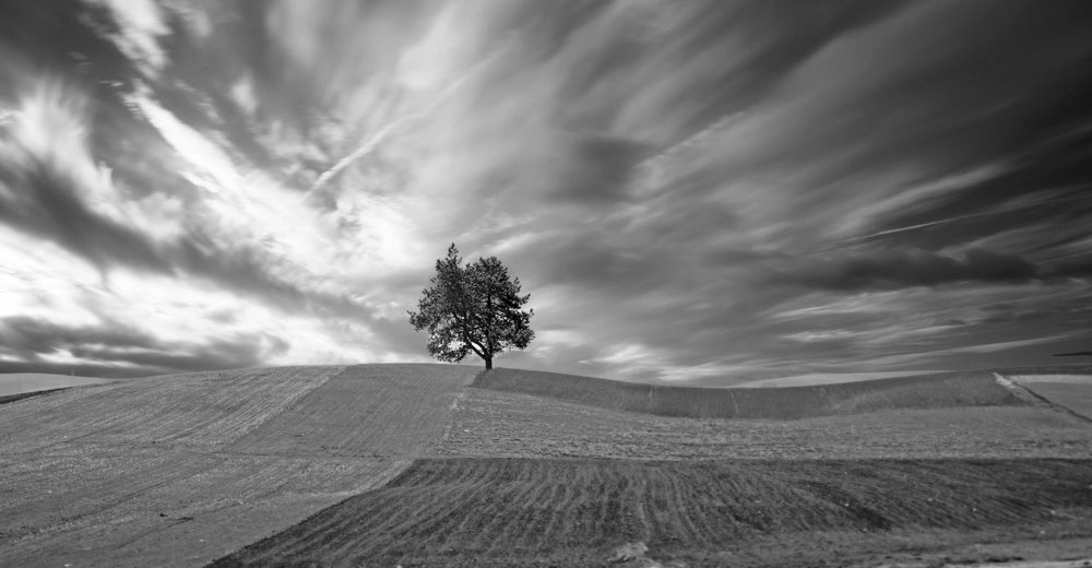 Photograph by Iraj Jabbari