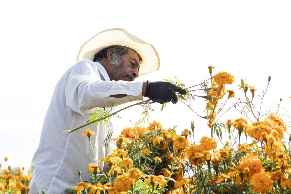 Photograph by isaac lopez mesa