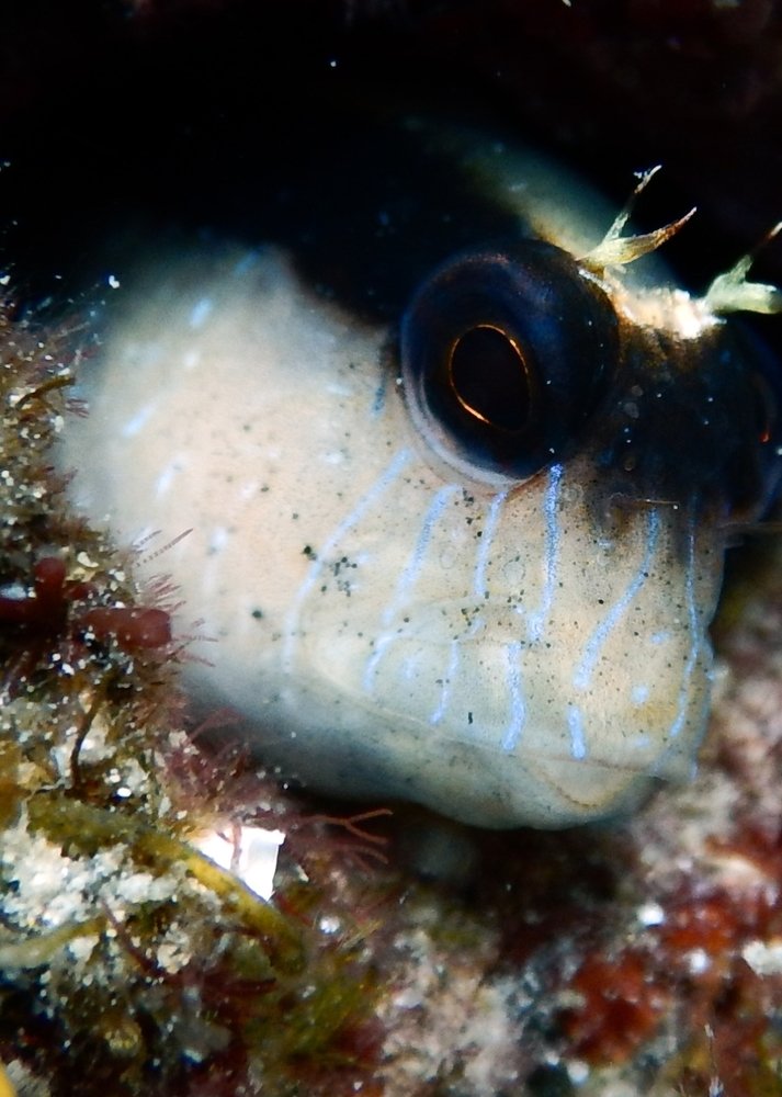 Photograph by Predrag Sneler