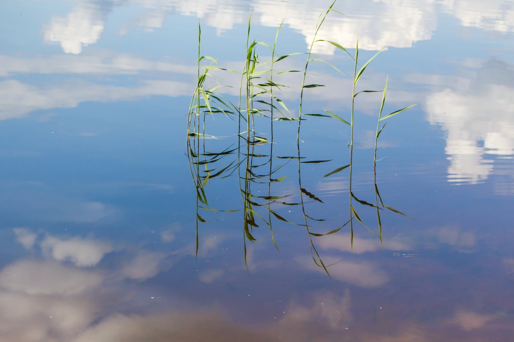 Photograph by Ольга Лапшина