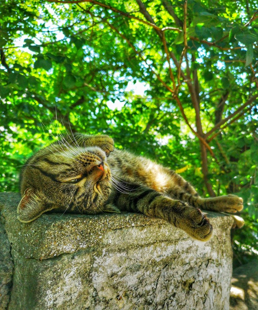 Photograph by Валерий