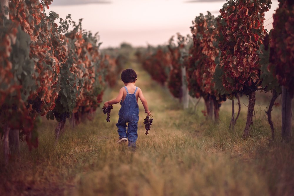 Фотография автора Ana Verdugo