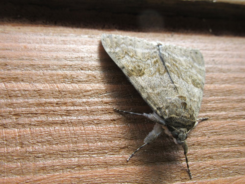 Photograph by Сергей Смирнов