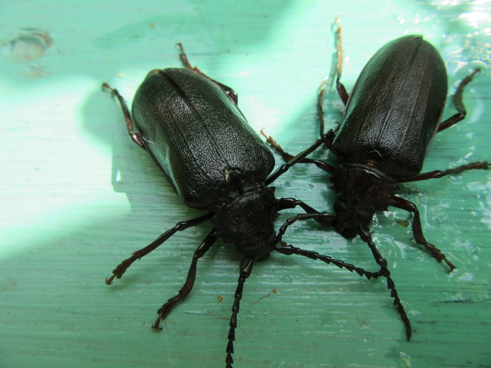 Photograph by Сергей Смирнов