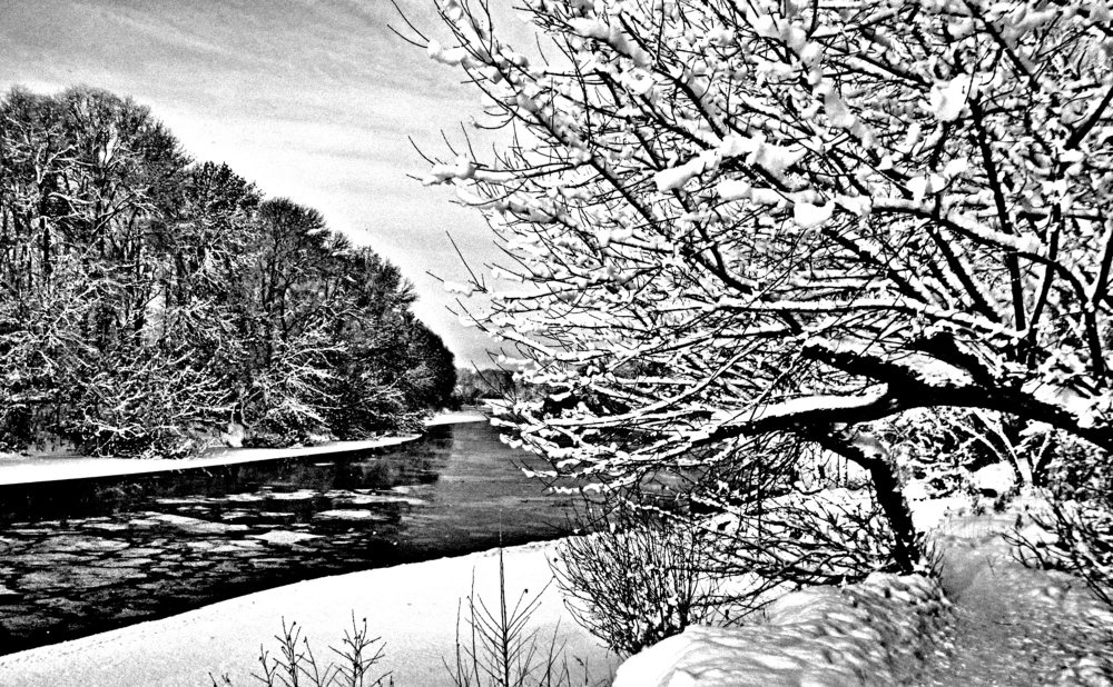 Photograph by леонид натапов