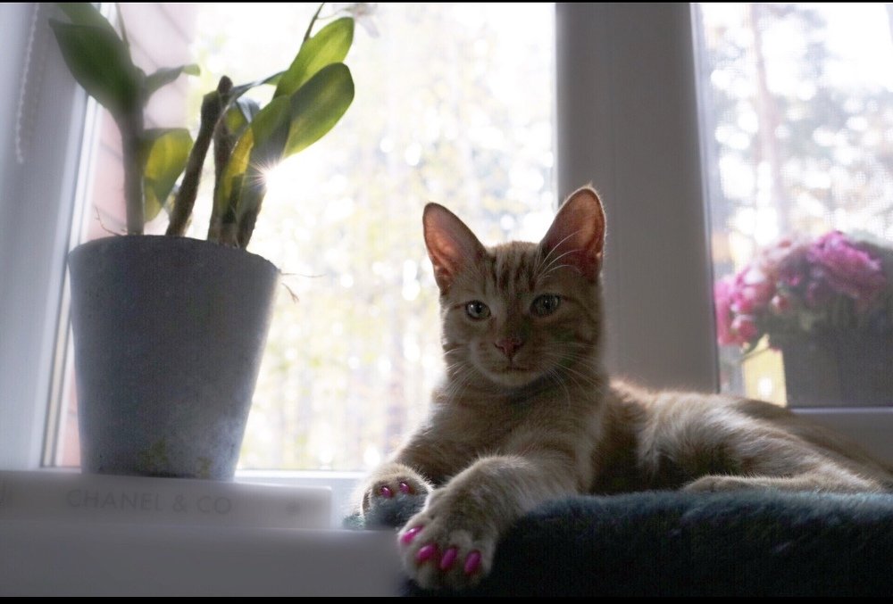 Photograph by Ольга