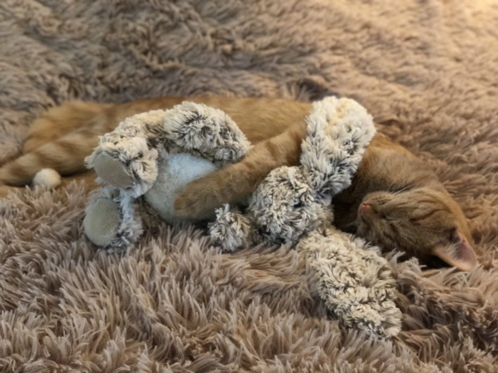 Photograph by Ольга