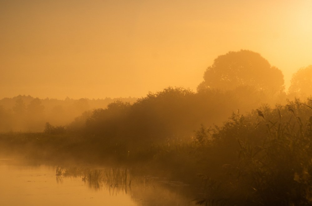 Photograph by Евгений Новицкий