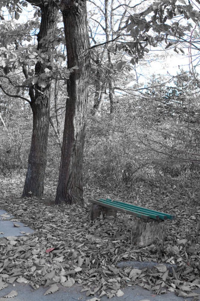 Осенний лес